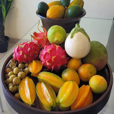 On The Paraiso Playa, Sea Views * Playa Paraiso (Tenerife)